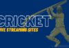 Cricket Live Streaming for the Avid Viewe