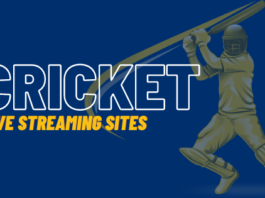 Cricket Live Streaming for the Avid Viewe