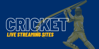 Cricket Live Streaming for the Avid Viewe